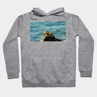 Point Dume State Beach Hoodie